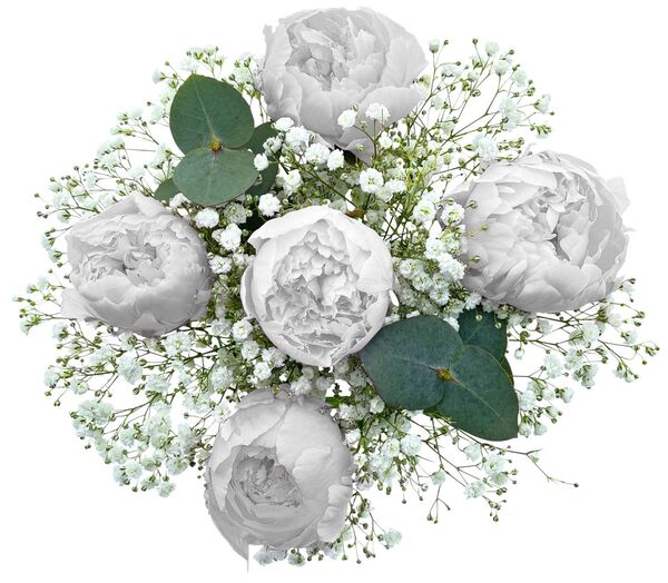 Bild 3 von Pfingstrosenstrau&#223;