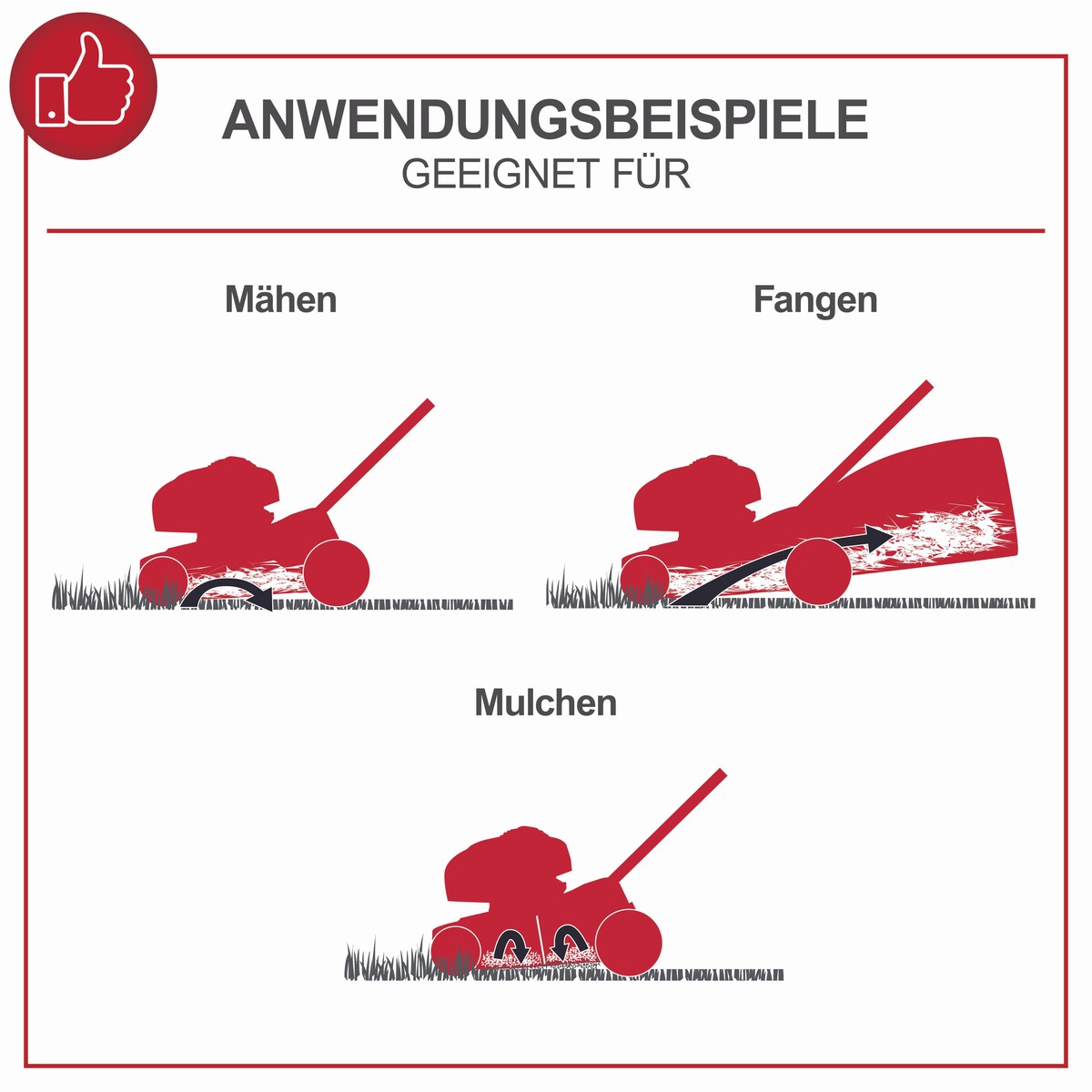 Bild 3 von Benzin Rasenmäher MS226-56