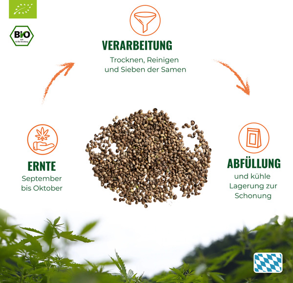 Bild 3 von HANS Brainfood Bio Ungeschälte Hanfsamen, 800 g