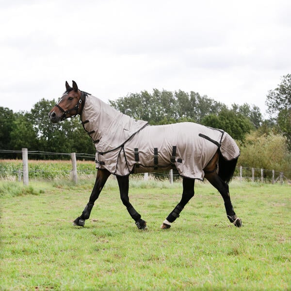 Bild 1 von Fliegendecke Pony/Pferd beige