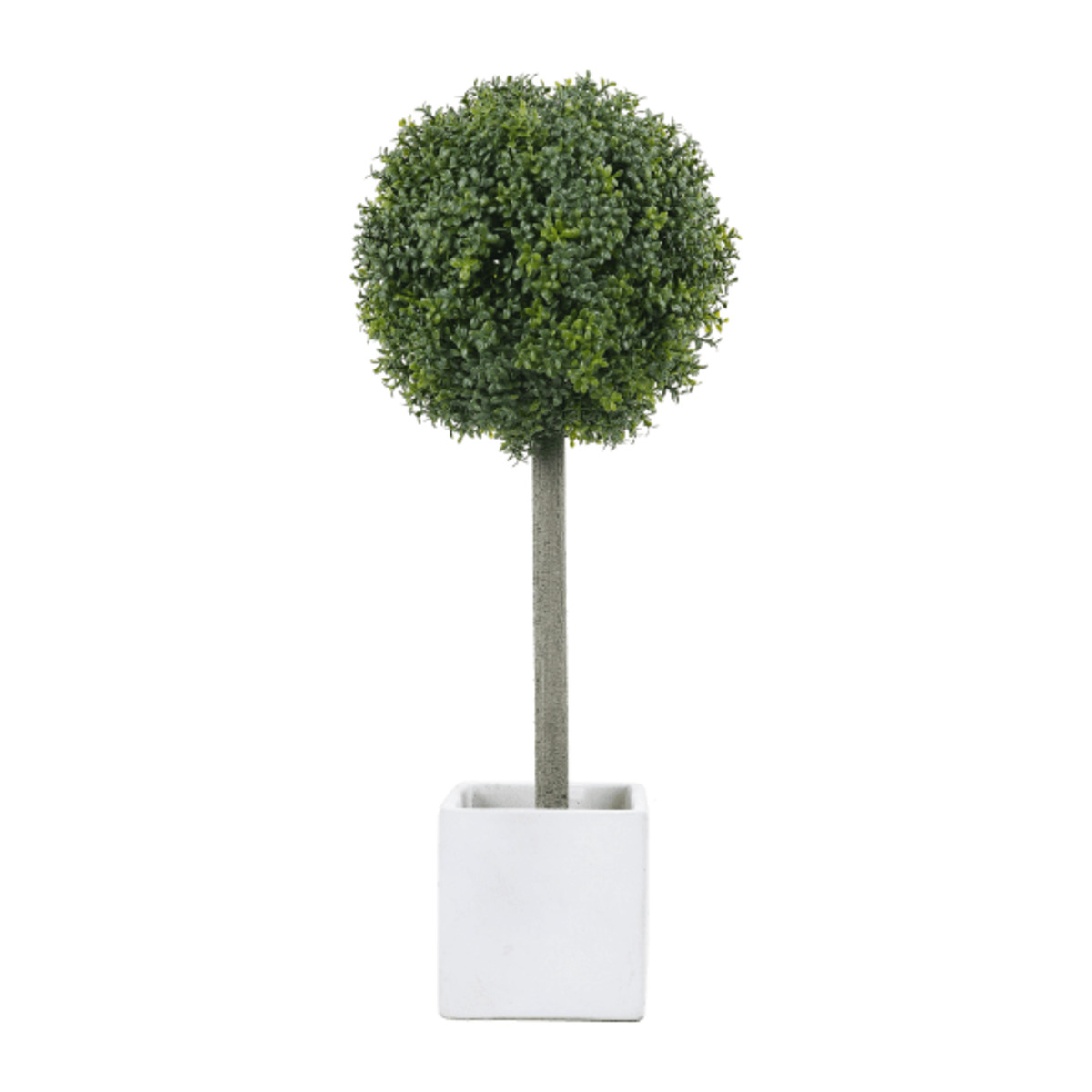 Bild 4 von HOME CREATION Kunstpflanze