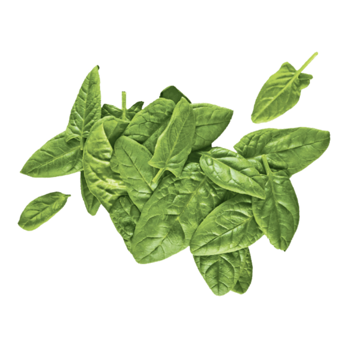 Bild 1 von GUT BIO Bio-Spinat 125g