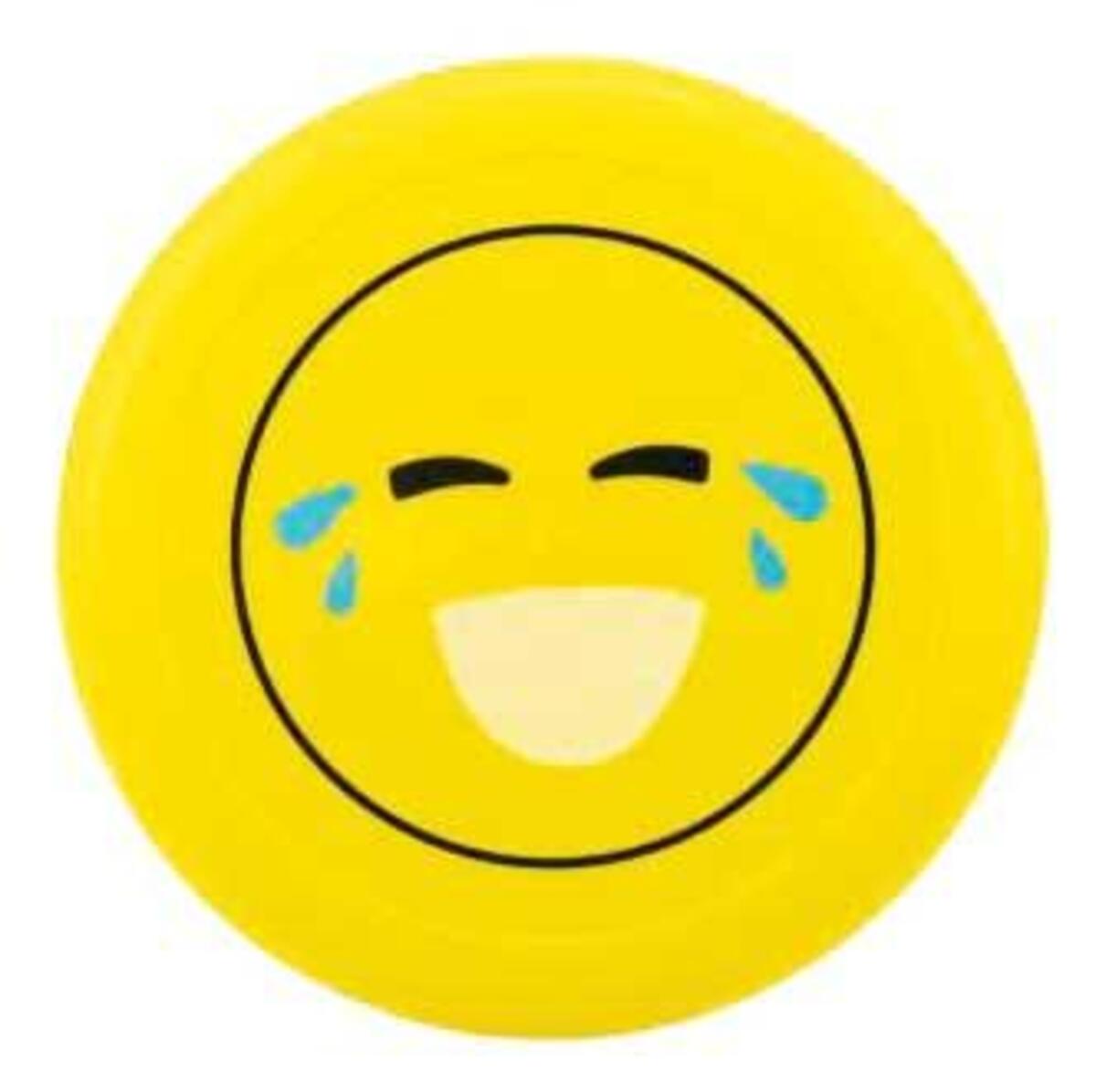 Bild 3 von Wurfscheibe