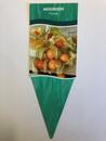 Bild 1 von Physalis peruviana Andenbeere/Stachelbeere 12 cm Topf