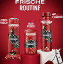 Bild 3 von Old Spice Deodorant Stick Wolfthorn, 50 ml