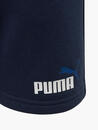 Bild 3 von PUMA Shorts