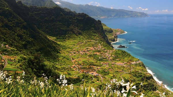 Bild 1 von Madeira & Porto Santo Kombi: Hotel Orca Praia & Hotel Porto Santo