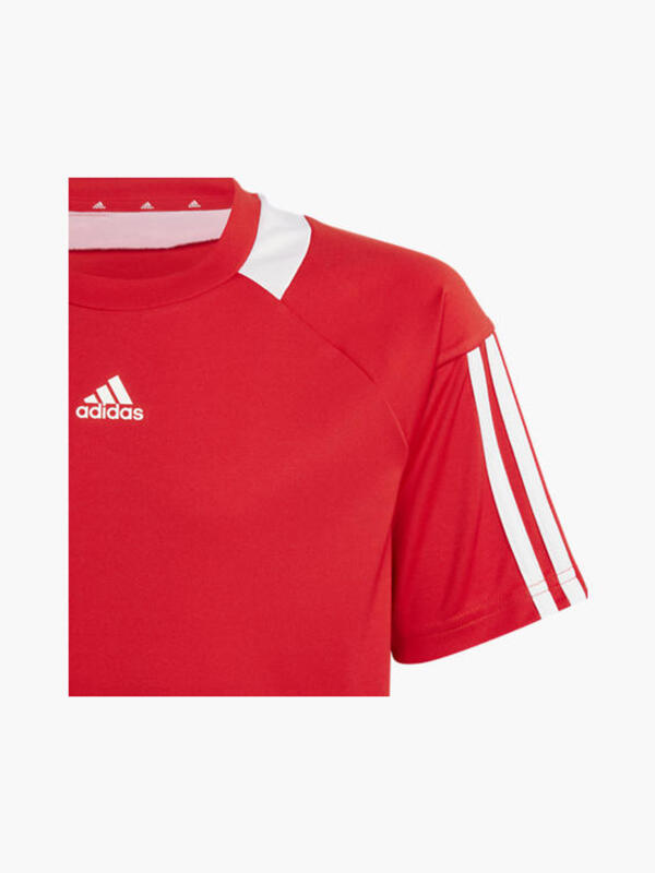 Bild 3 von adidas Trikot