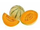 Bild 1 von Citrullus lanatus Charantais-Melone 10,5 cm Topf