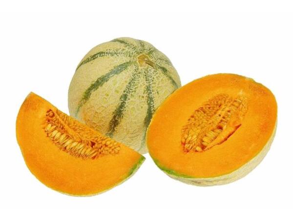 Bild 1 von Citrullus lanatus Charantais-Melone 10,5 cm Topf