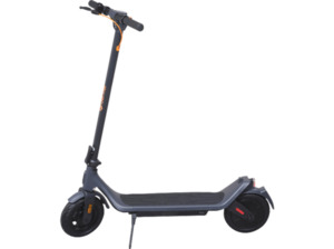 DENVER SEL-10360 DONAR E-Roller (10 Zoll, Schwarz), Schwarz