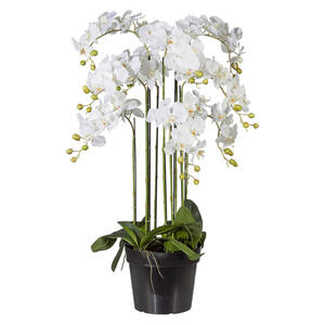 XXXLutz Kunstblume orchidee , 105801Lo-40 , Weiß , Kunststoff , 90 cm , inkl. Topf , 004297139201