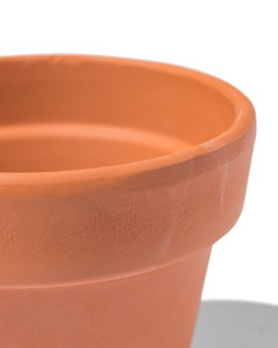 Bild 3 von Erdbeeren im Topf, Ø 9 cm