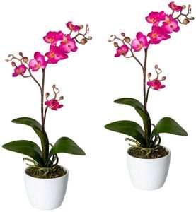 Kunstpflanze Orchidee Phalaenopsis Orchidee, Creativ green, Höhe 55 cm, im Keramiktopf