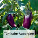 Bild 2 von Fruchtgemüse / Tomaten "Gartenperle"