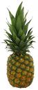 Bild 1 von Ananas