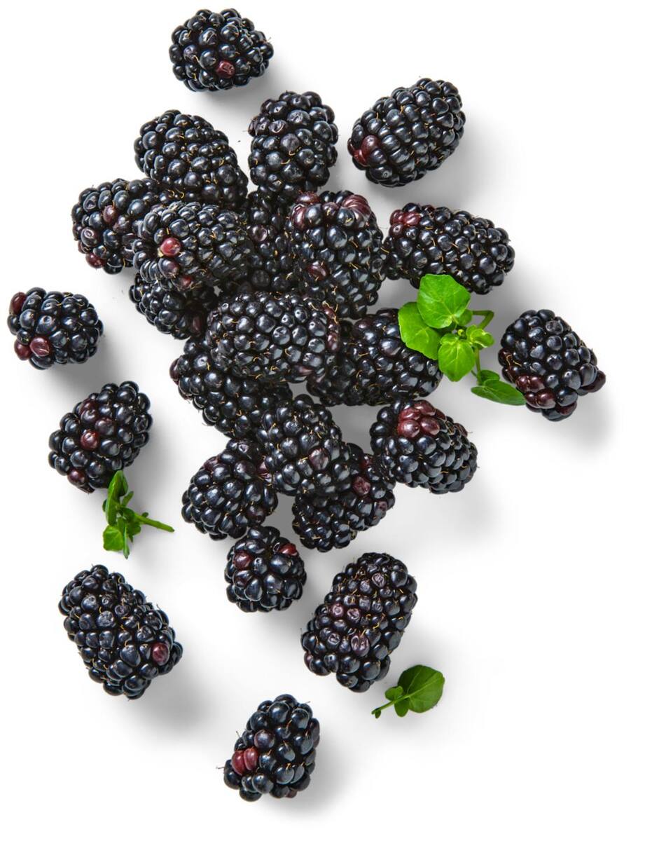 Bild 1 von Marokk./port. Brombeeren, 125-g-Schale