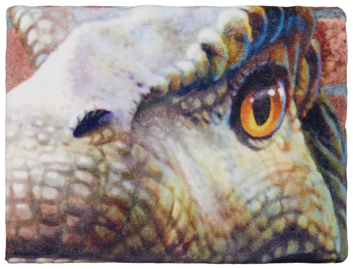 Bild 4 von HERDING Mikrofaser-Flauschdecke