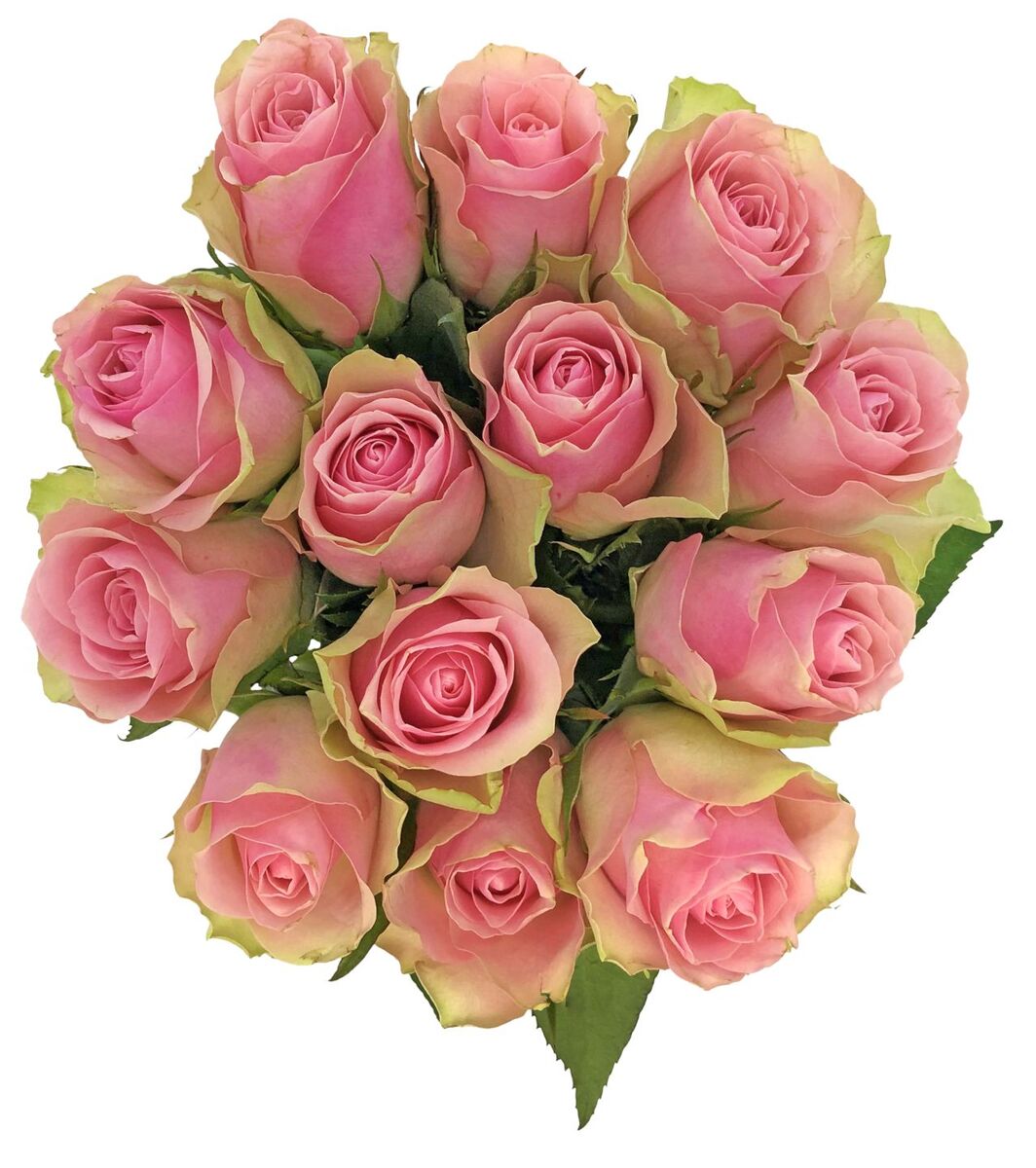 Bild 1 von Rosenstrauß Fairtrade