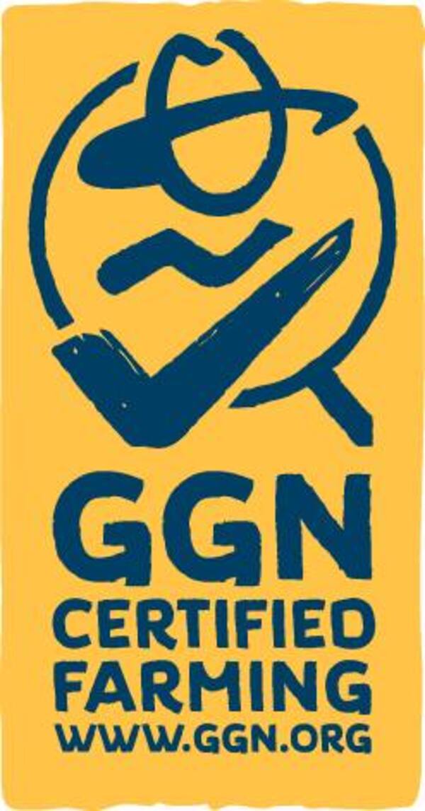 Bild 3 von Ital. Kräuter in Terrakotta