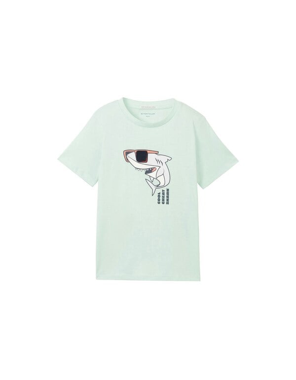 Bild 1 von TOM TAILOR - Mini Boys T-Shirt mit Bio-Baumwolle