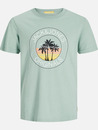 Bild 1 von Jack&Jones JORCASEY TEE SS CREW Shirt
                 
                                                        Grau