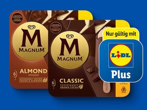 Langnese Magnum, 
         6x 110/580 ml