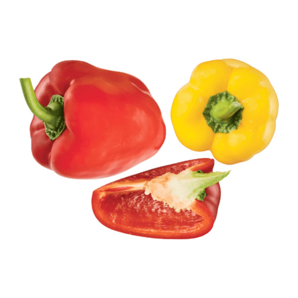 Bild 1 von GUT BIO Bio-Gemüsepaprika 400g