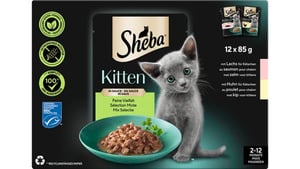 Sheba Kitten in Sauce Feine Vielfalt