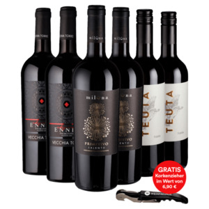 Weinset Rotwein Apulien Primitivo, 3er Set, 6x0,75l