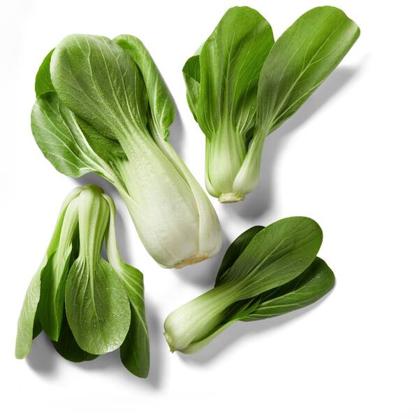 Bild 1 von Dtsch. Mini-Pak Choi, 300-g-Packg.