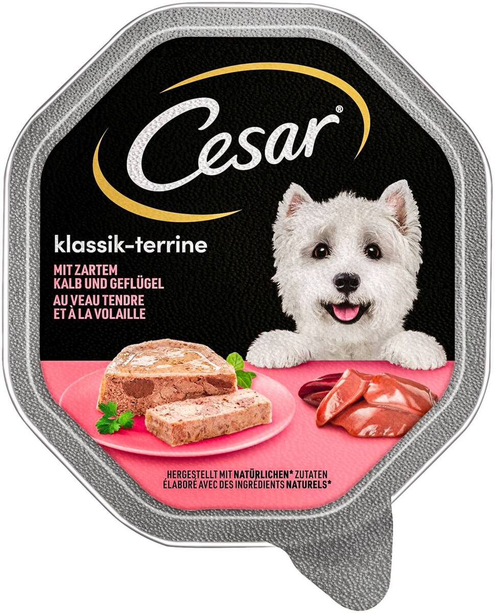 Bild 1 von CESAR Hundenahrung, 150-g-Schale