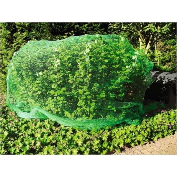 Bild 1 von Vogelschutznetz 8x8m Zum Schutz der Saat und reifenden Früchten.