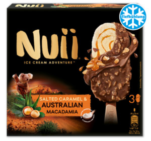 NUII Ice Cream Adventure*