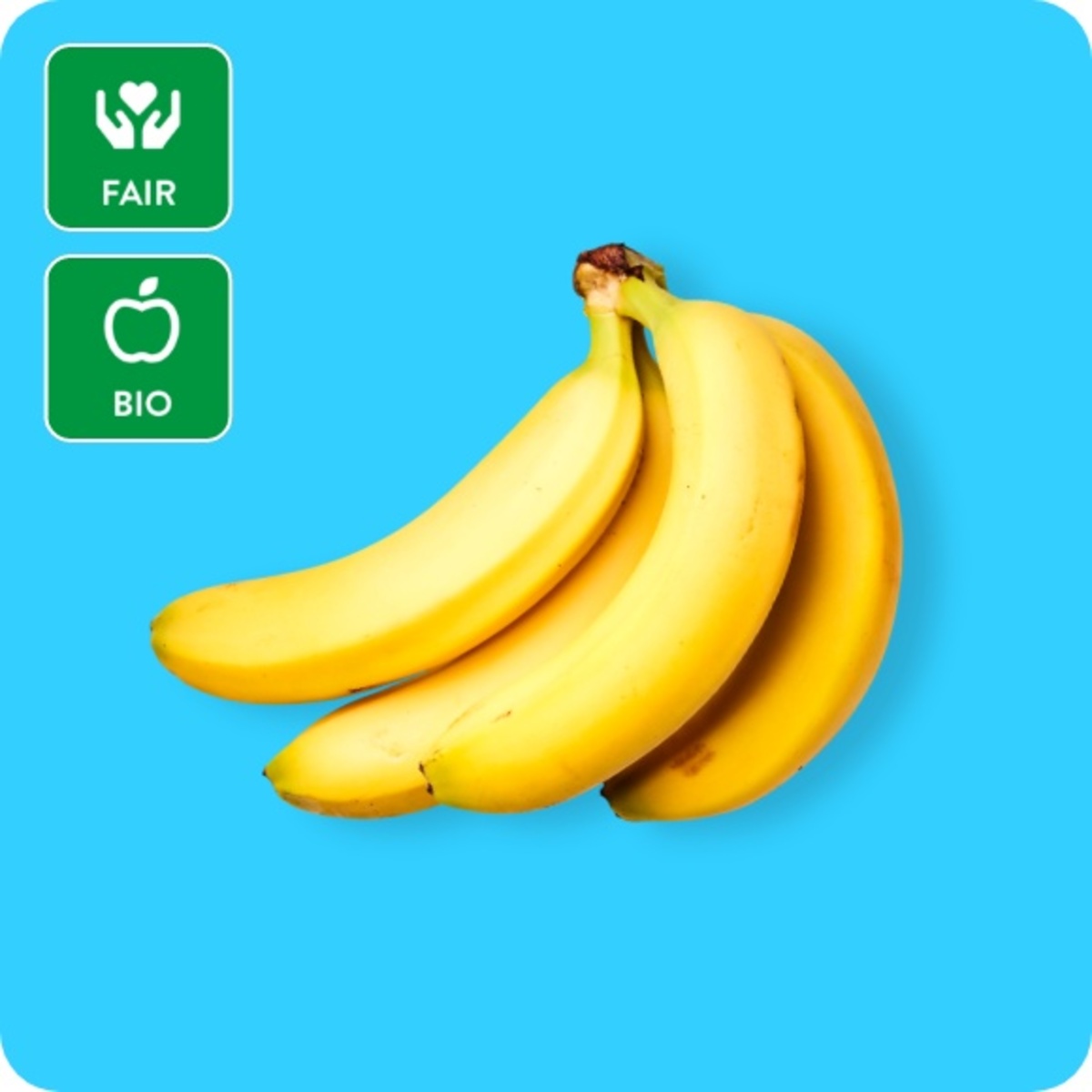 Bild 1 von GUT BIO Fairtrade-Bananen, Ursprung: Peru / Dominikanische Republik / Ecuador / Kolumbien
