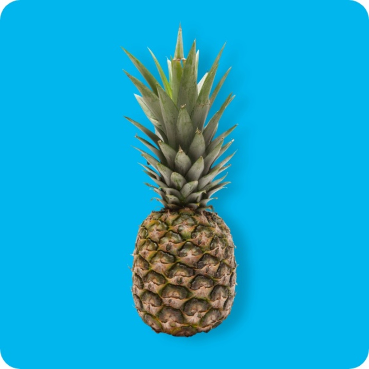 Bild 1 von   Ananas, Ursprung: Costa Rica / Ecuador