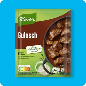 KNORR®  Fix, Gulasch