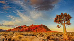 Rundreisen Namibia: Kleingruppenrundreise ab/an Windhoek