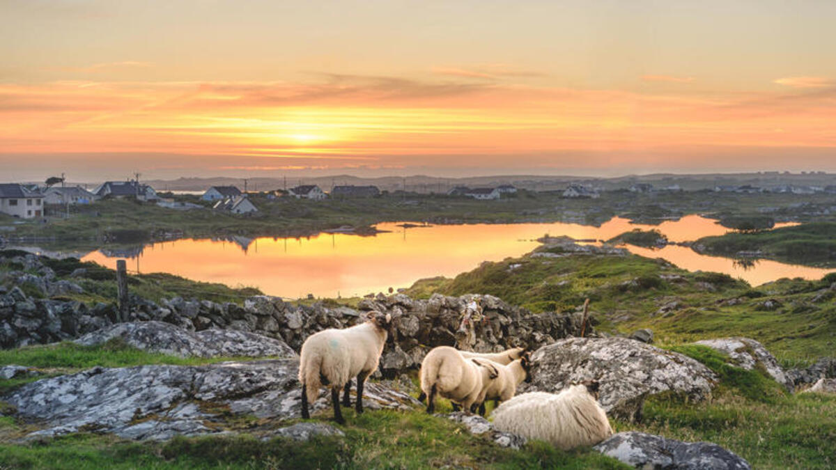 Bild 1 von Rundreisen Irland: Rundreise ab/an Dublin