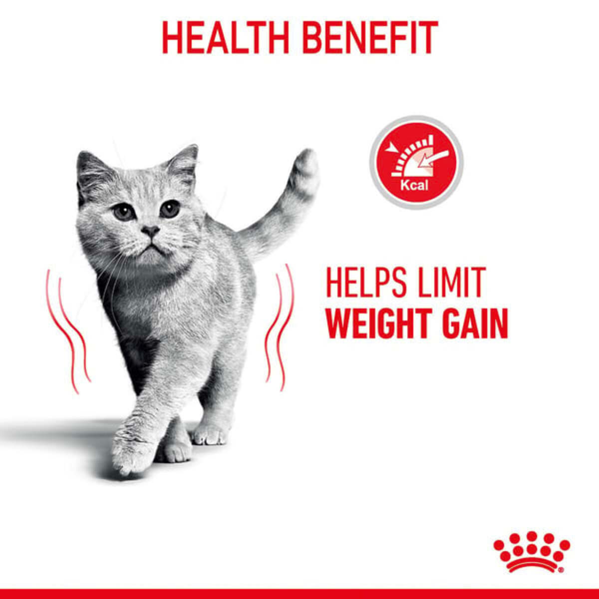 Bild 3 von Royal Canin FCN Light Weight Care Gravy 12x85g