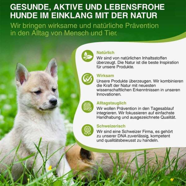 Bild 4 von bogaprotect Spot-On Hund XL 3x4.5ml