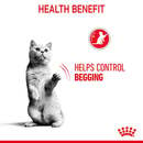 Bild 3 von Royal Canin FCN Appetite Control Gravy 12x85g