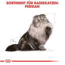 Bild 2 von ROYAL CANIN Persian Adult Katzenfutter nass für Perser-Katzen 12x85g