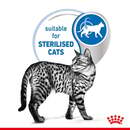 Bild 4 von ROYAL CANIN INDOOR Sterilised in Gelee Nassfutter für Wohnungskatzen 12x85g