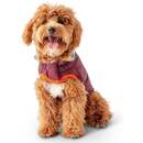 Bild 1 von GF Pet Reversible Trail Jacke burgund XS