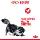 Bild 3 von ROYAL CANIN DIGESTIVE CARE Feuchtnahrung für Katzen mit empfindlicher Verdauung 12x85g