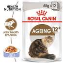 Bild 1 von ROYAL CANIN AGEING 12+ für Katzen 12x85g