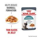 Bild 1 von Royal Canin FCN Hairball Care Jelly 12x85g