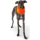 Bild 3 von GF Pet Scout Schlauchschal orange S