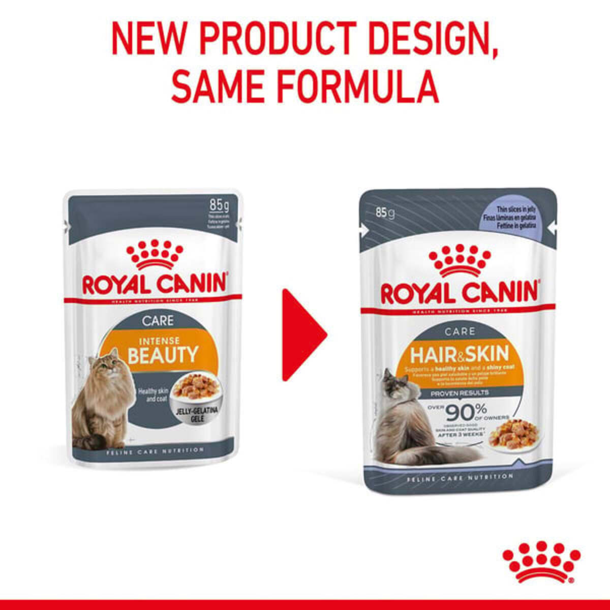 Bild 2 von Royal Canin FCN Hair & Skin Jelly 12x85g